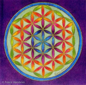 Meet your Posher, Rach